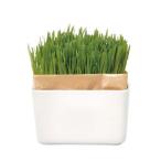  кошка . культивирование комплект ...beji комплект N ( 1 шт )