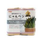  кошка . культивирование комплект ...beji заправка ( 2 штук )