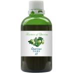 ホメオパシージャパン マザーチンクチャー クエカス 大 ( 100ml )/ HJマザーチンクチャー