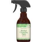 ジフ キッチン泡クリーナー ハーバルクレンジングアクア ミント＆グリーンティー ( 300ml )/ ジフ