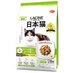 猫用ドライフード