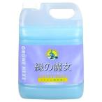 緑の魔女 トイレ用洗剤 ( 5L )/ 緑の魔女