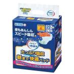 エルモア いちばん たっぷり吸収 朝まで快適パッド ( 22枚入 )/ エルモア いちばん