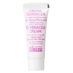 アルジタル インテンシブ エキナセアクリーム ミニ ( 10ml )/ アルジタル