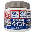 ターナー 窓ガラス用遮熱ペイント シルバー WP330012 ( 330g )/ ターナー