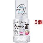 ケンエー のどスッキリうがい薬CP ピーチ味 ( 300ml*5個セット )/ ケンエー