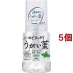 ケンエー のどスッキリうがい薬CP ミント味 ( 300ml*5個セット )/ ケンエー