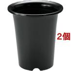 リッチェル 洋ラン鉢 5号 ブラック ( 1コ入*2コセット )