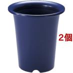 リッチェル 洋ラン鉢 5号 コン ( 1コ入*2コセット )