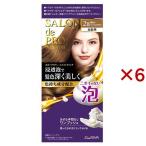 サロンドプロ 泡のヘアカラー・エクストラリッチ 2B 白髪用 明るいベージュブラウン ( 6セット )/ サロンドプロ