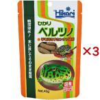 その他ペット用品、生き物