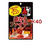 赤から監修 赤からファイヤー ( 20g×40セット )/ ダイショー