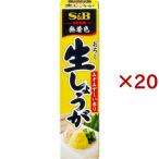  способ тест рекомендация ... сырой имбирь ( 40g×20 комплект )/ способ тест рекомендация 