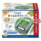 メダカ元気 育てるお守りケース ( 6セット )/ メダカ元気