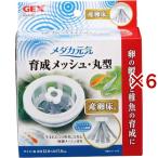 メダカ元気 育成メッシュ・丸型 産卵床付 ( 6セット )/ メダカ元気