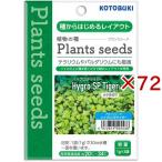  Kotobuki прикладное искусство растения si-do высокий Glo SP Tiger ( 3 пакет входить ×72 комплект (1 пакет 1g) )/ Kotobuki прикладное искусство 