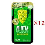 minti Abu Lee z автомобиль in мускат ( 30 шарик входить ×12 комплект )/ MINTIA(mintia)