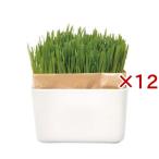  кошка . культивирование комплект ...beji комплект N ( 12 комплект )