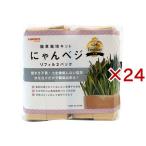  кошка . культивирование комплект ...beji заправка ( 2 штук ×24 комплект )