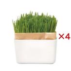  кошка . культивирование комплект ...beji комплект N ( 4 комплект )