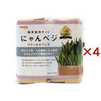  кошка . культивирование комплект ...beji заправка ( 2 штук ×4 комплект )