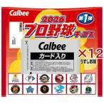 2026プロ野球チップス ( 22g×12セット )