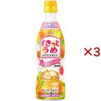 クラフトシロップ すきっとうめ 希釈用 ( 470ml×3セット )/ アサヒ