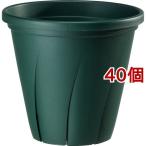 根はり鉢 10号 ダークグリーン ( 9.6L*40個セット )/ 大和プラスチック