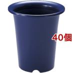 リッチェル 洋ラン鉢 5号 コン ( 40個セット )