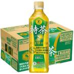 サントリー 伊右衛門 特茶 特定保健用食品 ( 500ml*24本入 )/ 特茶