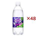 ウィルキンソン タンサン ダブルグレープ ( 24本入×2セット(1本500ml) )/ ウィルキンソン ( 炭酸水 炭酸 )