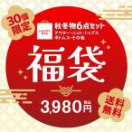 福袋 6点セット 限定30個 レディース 6点福袋 秋 冬 秋冬 黒 白 happybag ハッピーバッグ 2026年 トップス ボトムス アウター ニット 20代 30代 40代 女性 ママ