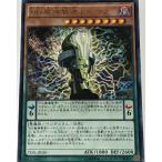 遊戯王 レア 効果モンスター 1枚 DD魔導賢者トーマス TDIL