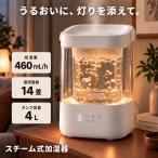 GLASS ガラススチーム加湿器 加湿器 スチーム式 グラス ガラスポッド式 大容量 おしゃれ お手入れ簡単 卓上