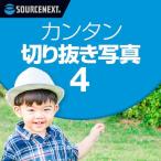  simple вырезки фотография 4 новейший DL_SNR Windows для фотография редактирование soft фотография редактирование вырезки персона простой начинающий соус next 
