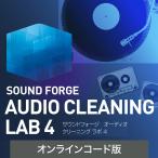 MAGIX SOUND FORGE Audio Cleaning Lab 4 новейший звук редактирование soft Win соответствует 