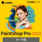 PaintShop Pro 2023 карта версия 