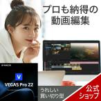 VEGAS Pro 22 DL_SNR Windows для создание изображений soft VEGAS создание изображений изображение редактирование анимация изготовление анимация произведение соус next 