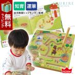 えほんトイっしょ ベリーくんのきのみやさん  知育玩具  Ed.inter 絵本 エド・インター 知育絵本 2歳  おもちゃ