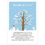 年賀状じまいハガキ 寒中見舞い 10枚 切手付き官製はがき【読みやすい文字サイズ】アルファプリントサービス公式〈NJ102 雪うさぎ〉