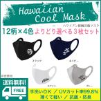 送料無料 ハワイアン クールマスク 3枚以上購入で1枚333円 繰り返し使える 洗える ハワイ フラ フラダンス ワンポイント プリント