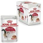 ロイヤルカナン FHN-WET インスティンクティブ 成猫用 85g×24個