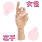 木製 デッサン ハンド 女性 左手 モデル 手 ポーズ 人形 参考デッサンカット付き 人体 模型 クロッキー 素描 マネキン トルソー イラスト   (送料無料)hos-e38