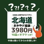 3980円・10点入 送料込 北海道 お土産