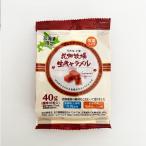 花畑牧場 生キャラメル プレーン 常温 標準10粒入(40g)×10個 北海道 お土産 クリーム スイーツ おやつ お菓子 ギフト プレゼント お取り寄せ 送料無料