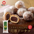  месяц холод пончики . san . premium (10 штук ) Hokkaido достопримечательность . земля производство . данный земля японские сладости кондитерские изделия подарок подарок ваш заказ .... средний изначальный Рождество Hokkaido ограничение 