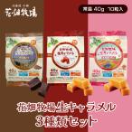 花畑牧場 生キャラメル 3種類セット プレーン・北海道いちご・チョコレート 標準10粒入(40g)×各1個 北海道 お土産 スイーツ おやつ お菓子 ギフト お取り寄せ