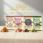 花畑牧場 生キャラメル 4種類セット (プレーン・北海道いちご・チョコレート・抹茶) (常温) (標準10粒入40g) 北海道 お土産 キャラメル クリーム 生乳 水飴