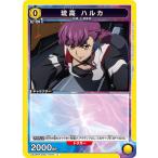 琉高 ハルカ〔C〕【黄�