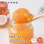 高級 ゼリー みかん お取り寄せ グルメ 送料無料 有田 和歌山 内祝い 果樹園の濃厚みかんジュレまるごと1個入り 120g×20個入り ミラクル9